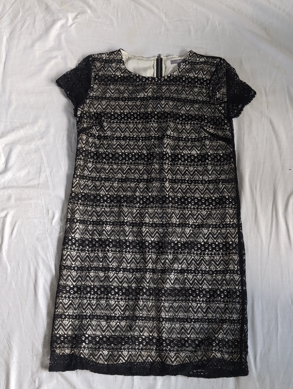 Black Lace Overlay Mini Dress with Neutral Underlayer